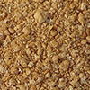 2021 poultry breeding, the biggest variable is not the market, but feed……