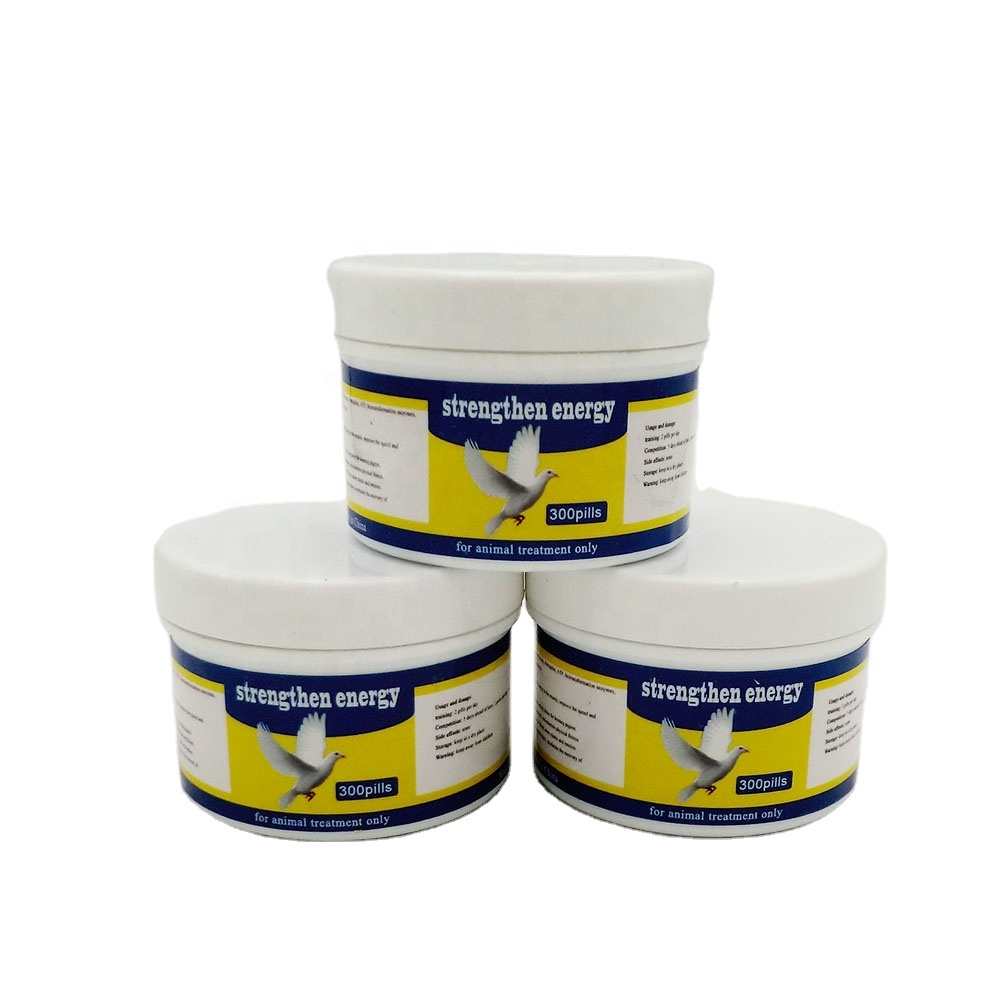 strengthen energy for racing pigeon