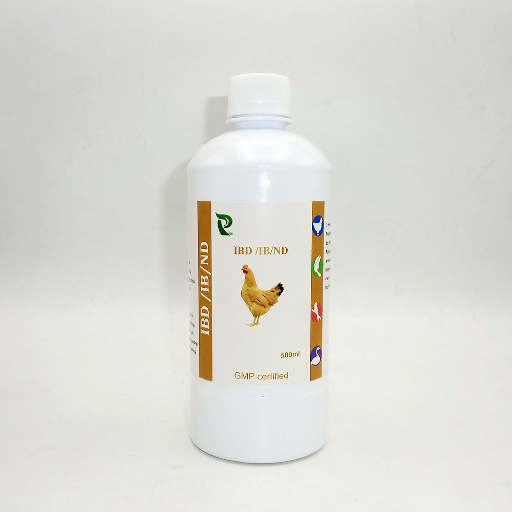 IBD /IB/ND cure