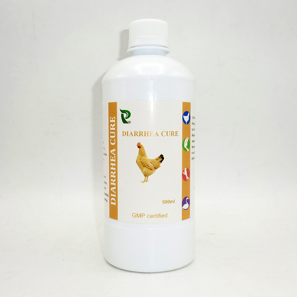 Proventriculitis cure